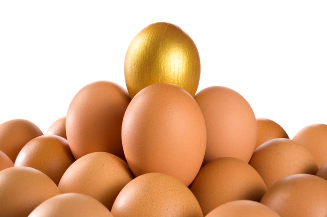 golden-egg.jpg